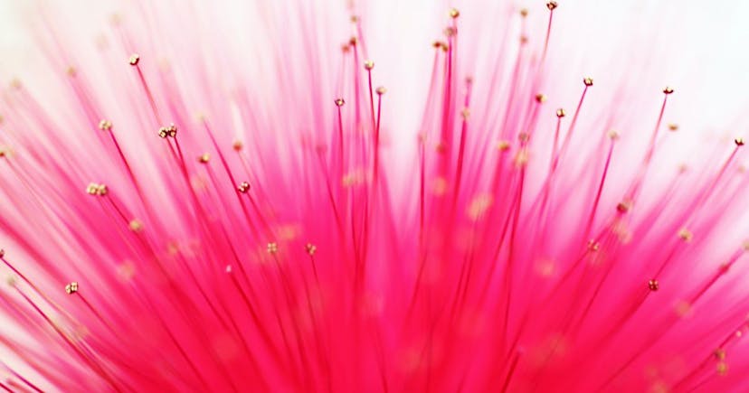 /5-reasons-why-you-should-never-micromanage-your-team feature image