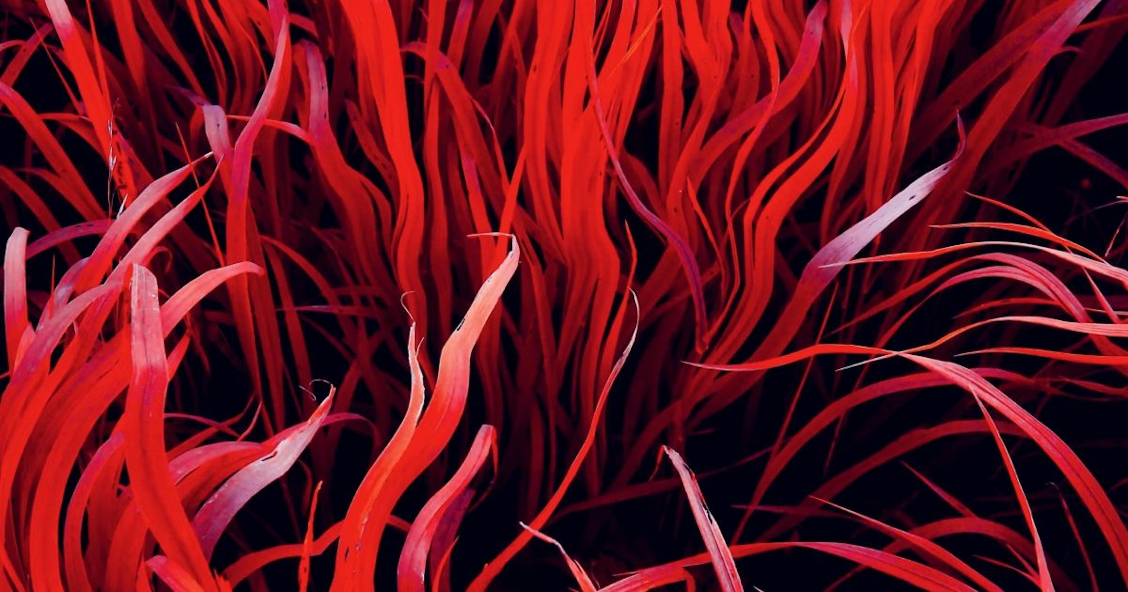 featured image - I Get 100+ Emails A Day: How I Manage My Inbox To Stay Sane And Productive