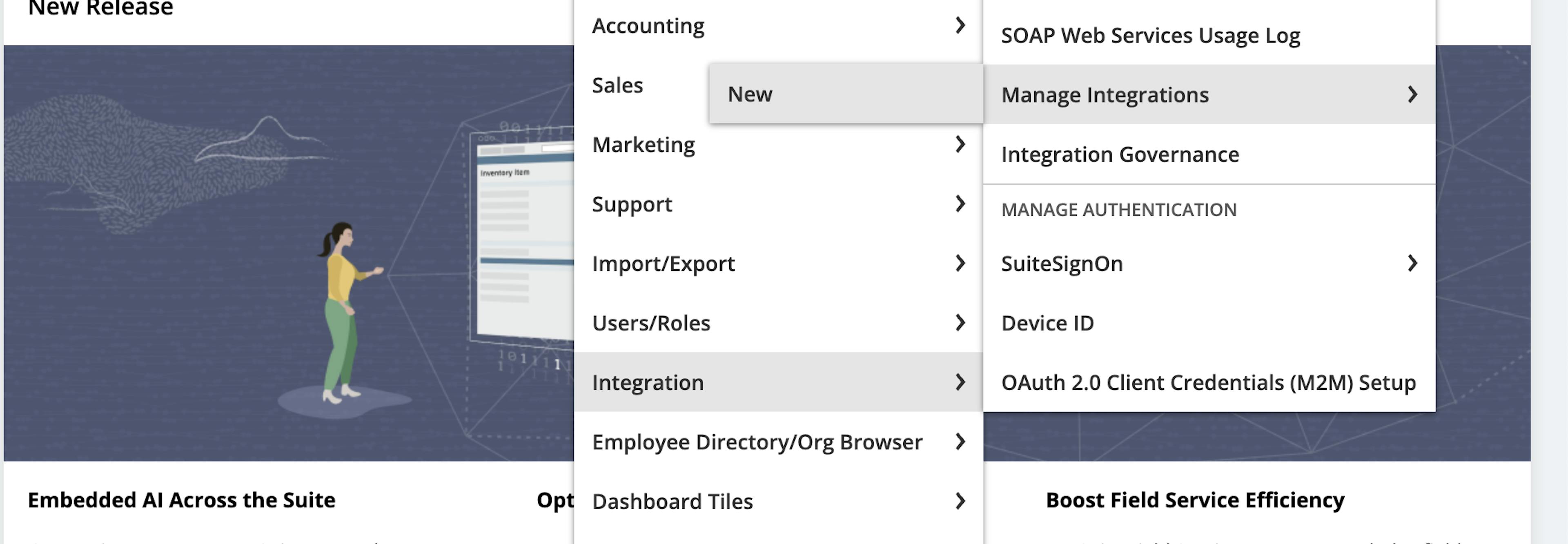 A picture of the option in NetSuite UI