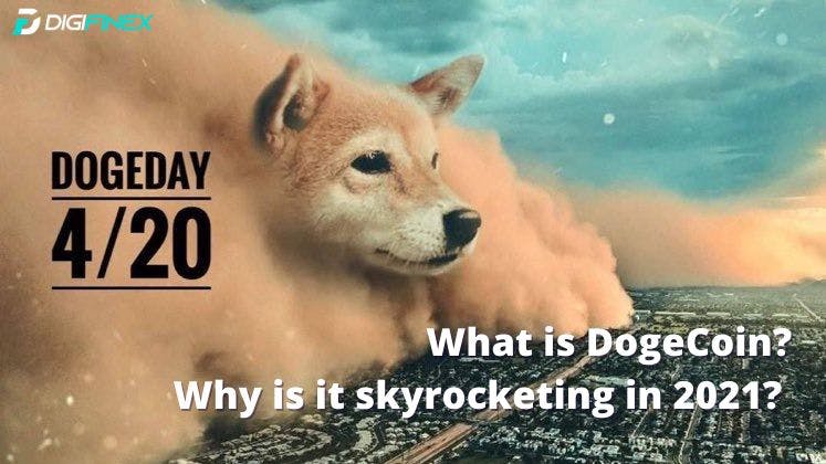 featured image - What's Driving The DogeCoin Mania?
