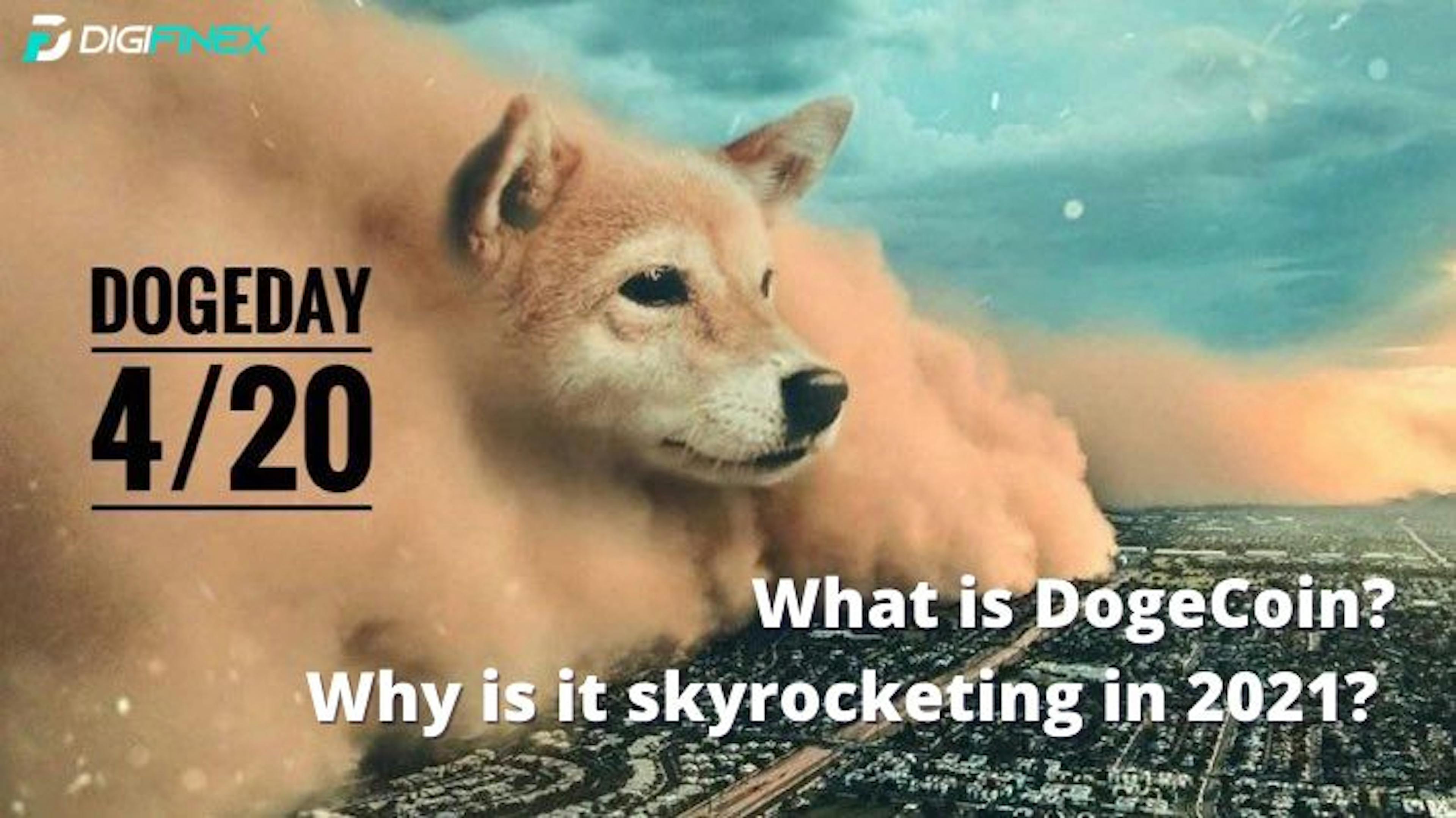 /whats-driving-the-dogecoin-mania-5l3g34ox feature image