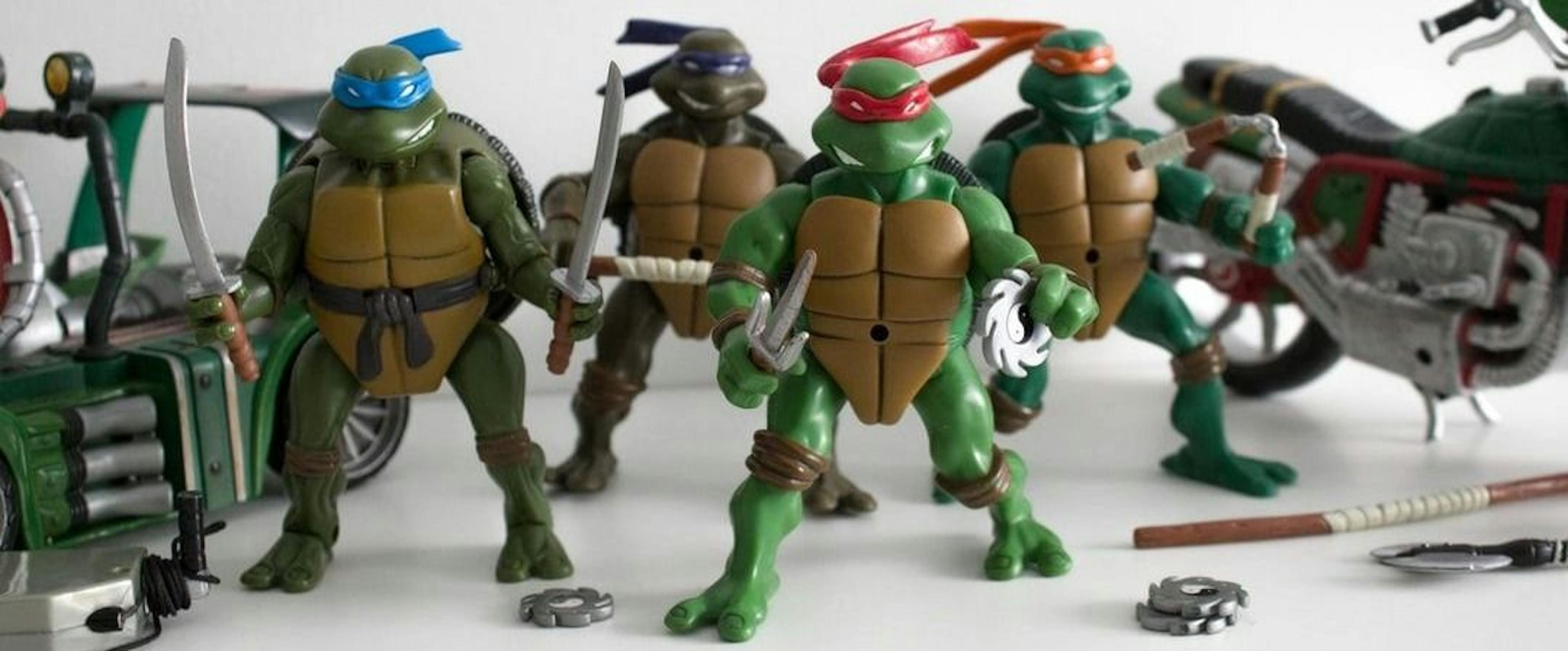 featured image - TMNT: Translation Memory and Neural Translation