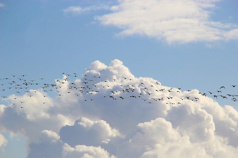 /migrating-a-rails-app-to-digital-ocean-the-easy-way-1z14343n feature image