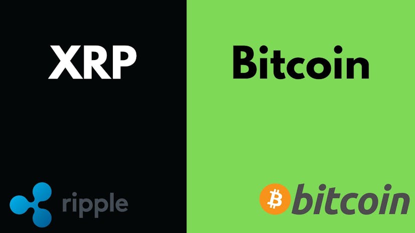 /only-xrp-and-bitcoin-will-be-safe-if-ripple-wins-sec-lawsuit feature image