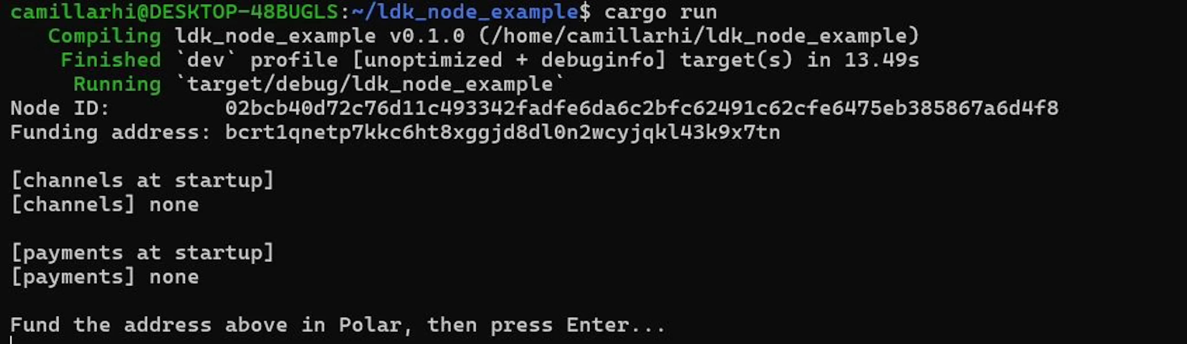 Terminal showing node ID, funding address, [channels] none, [payments] none