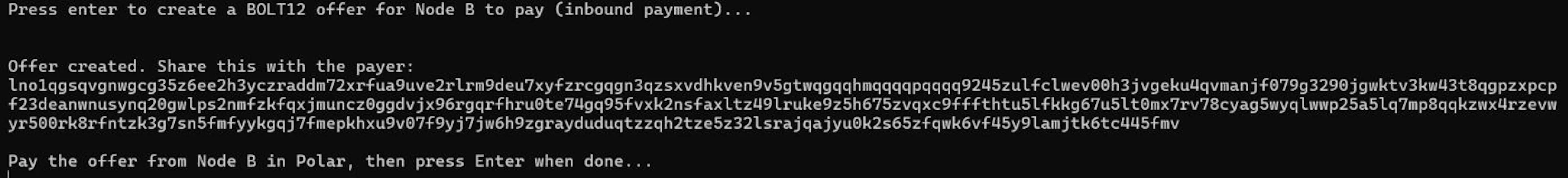 Terminal showing BOLT12 offer created successfully. Paying the offer end to end through Polar's UI is not currently supported, so the payment flow is not shown here