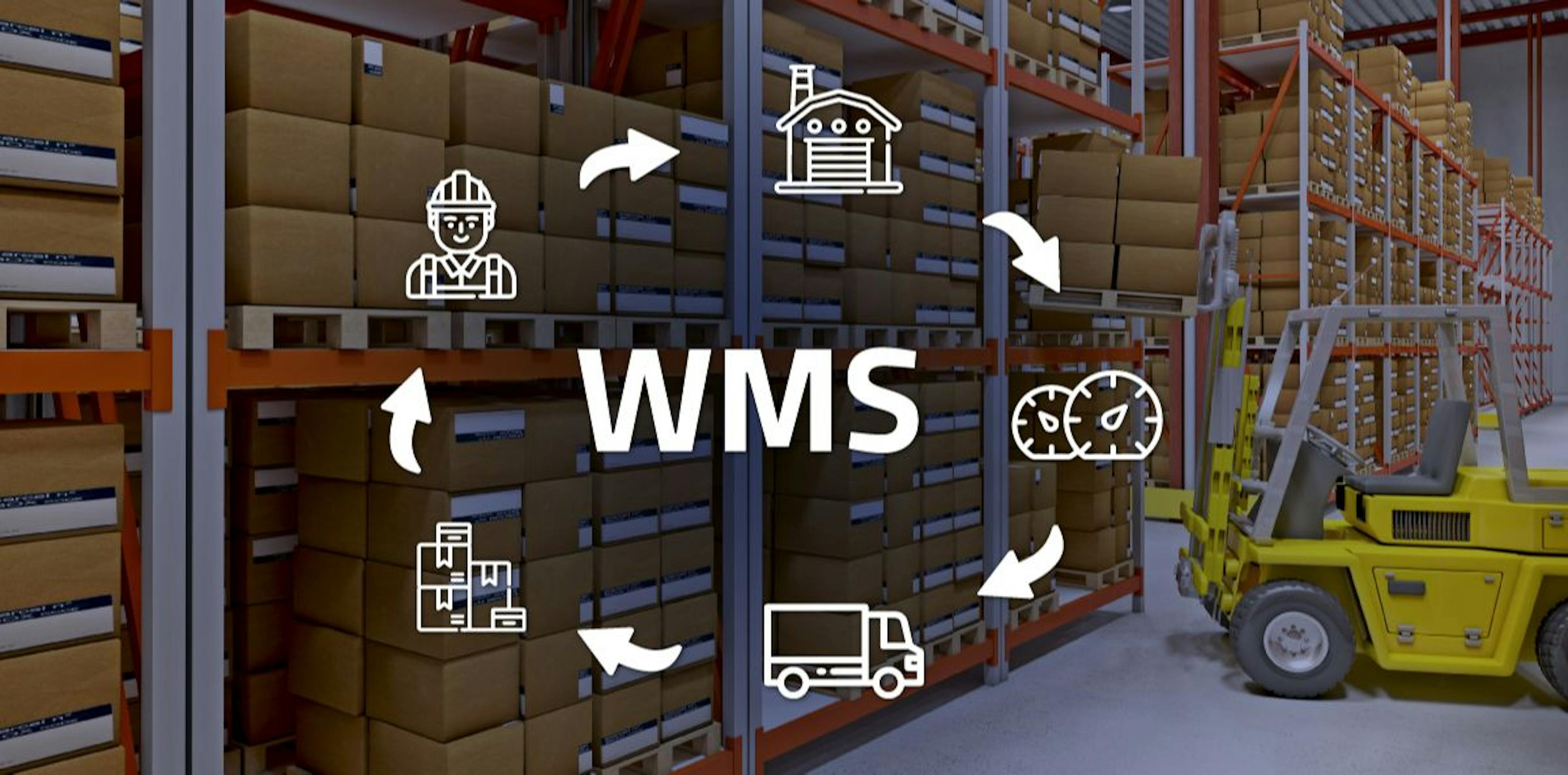 featured image - Top 3 Warehouse Physical Problems Developers Must Solve in WMS