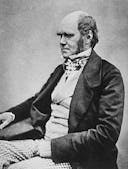Charles Darwin HackerNoon profile picture
