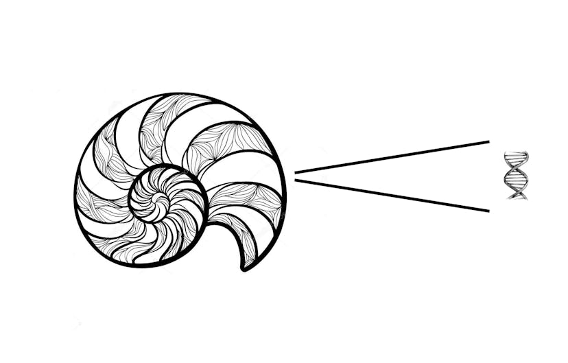 /where-visuals-and-algorithms-collide-how-unrelated-algorithms-produce-intuitive-markings feature image