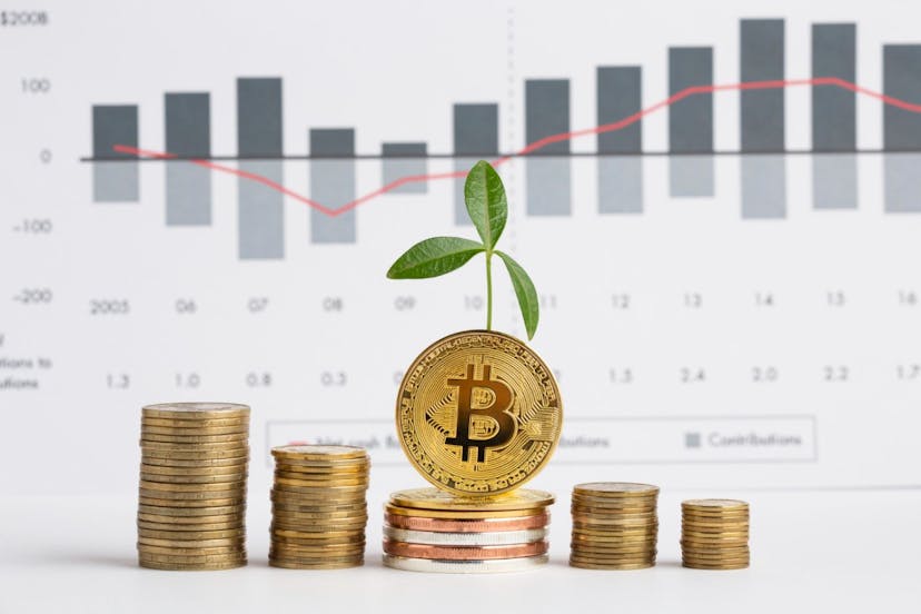 /understanding-the-benefits-of-crypto-community-management feature image