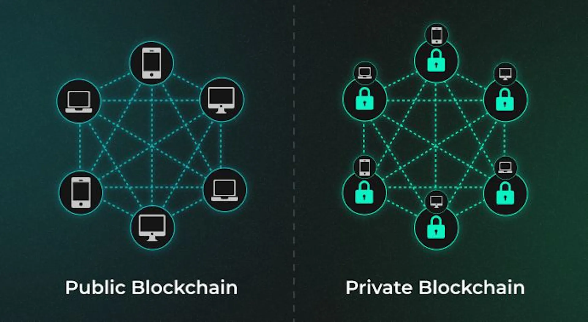 Public Blockchain vs Private Blockchain