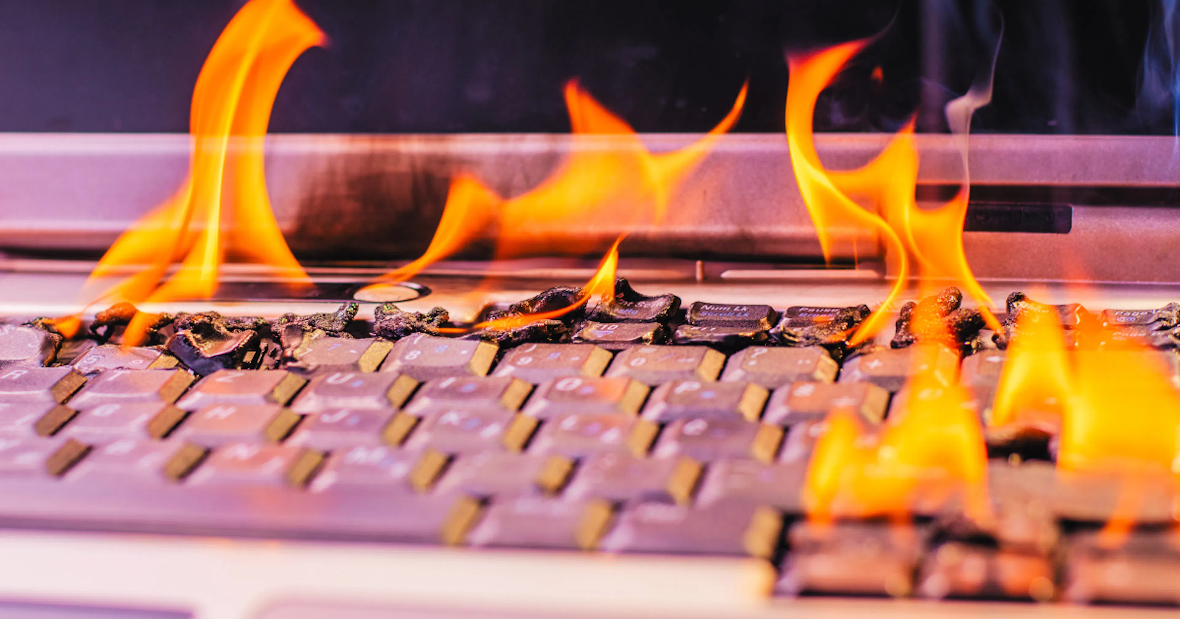 featured image - Research: Programmatic and News Aggregators Are Cooked, Social Is a Discoverability Terror.