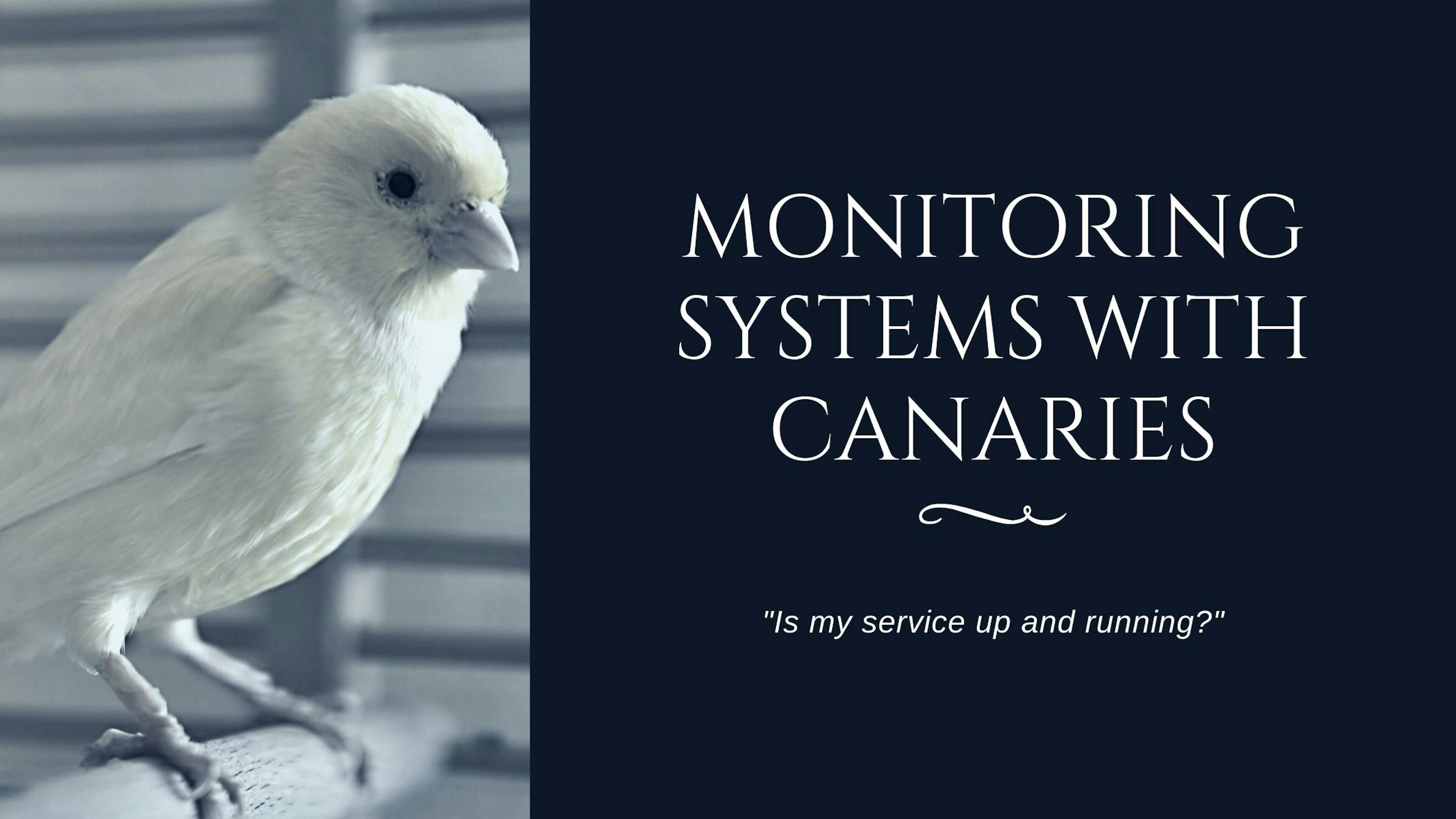 featured image - Canaries to the Rescue: Catching Service Issues Before the End User