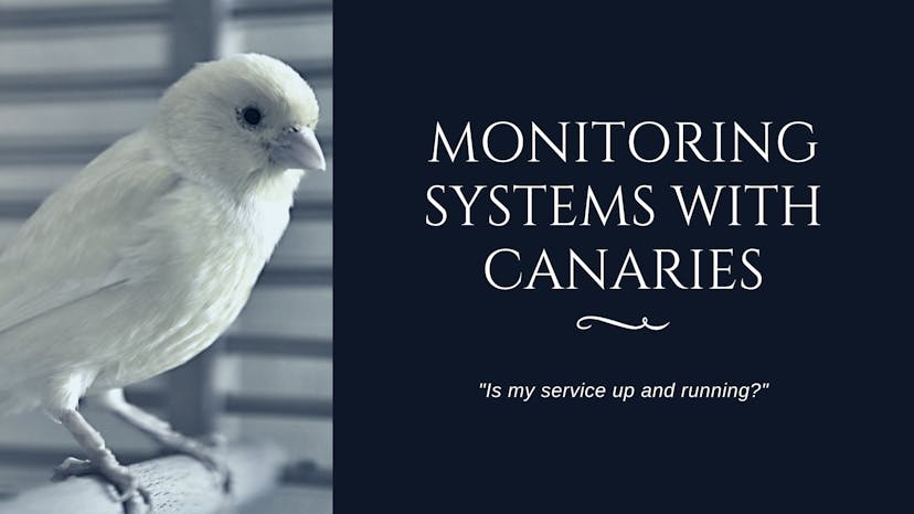 /canaries-to-the-rescue-catching-service-issues-before-the-end-user-38em359h feature image