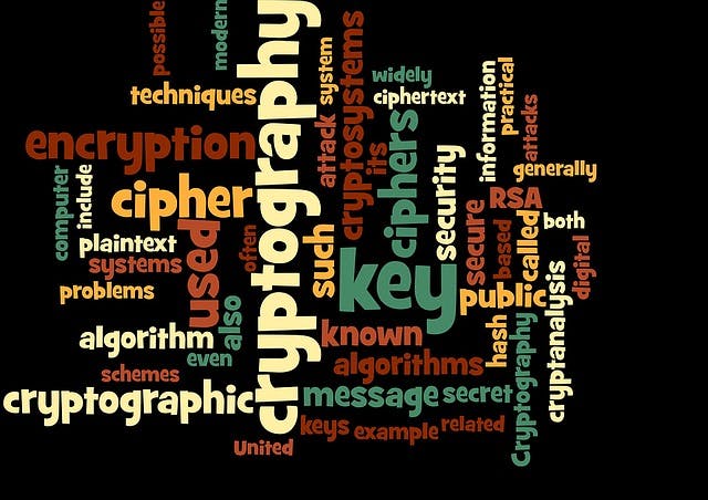 /protect-your-small-business-on-the-encryption-frontlines feature image