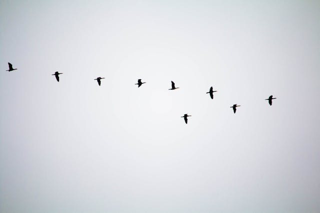 /notes-on-migrating-aws-sdk-v2-to-v3-javascript-a-quick-guide-to-help-you-out feature image