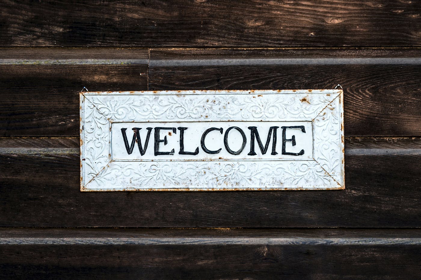 featured image - The Markup Gets a New Managing Editor: Welcome Michael Reilly