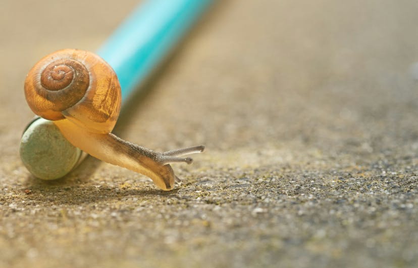 /how-to-find-out-if-youre-paying-for-slow-internet feature image