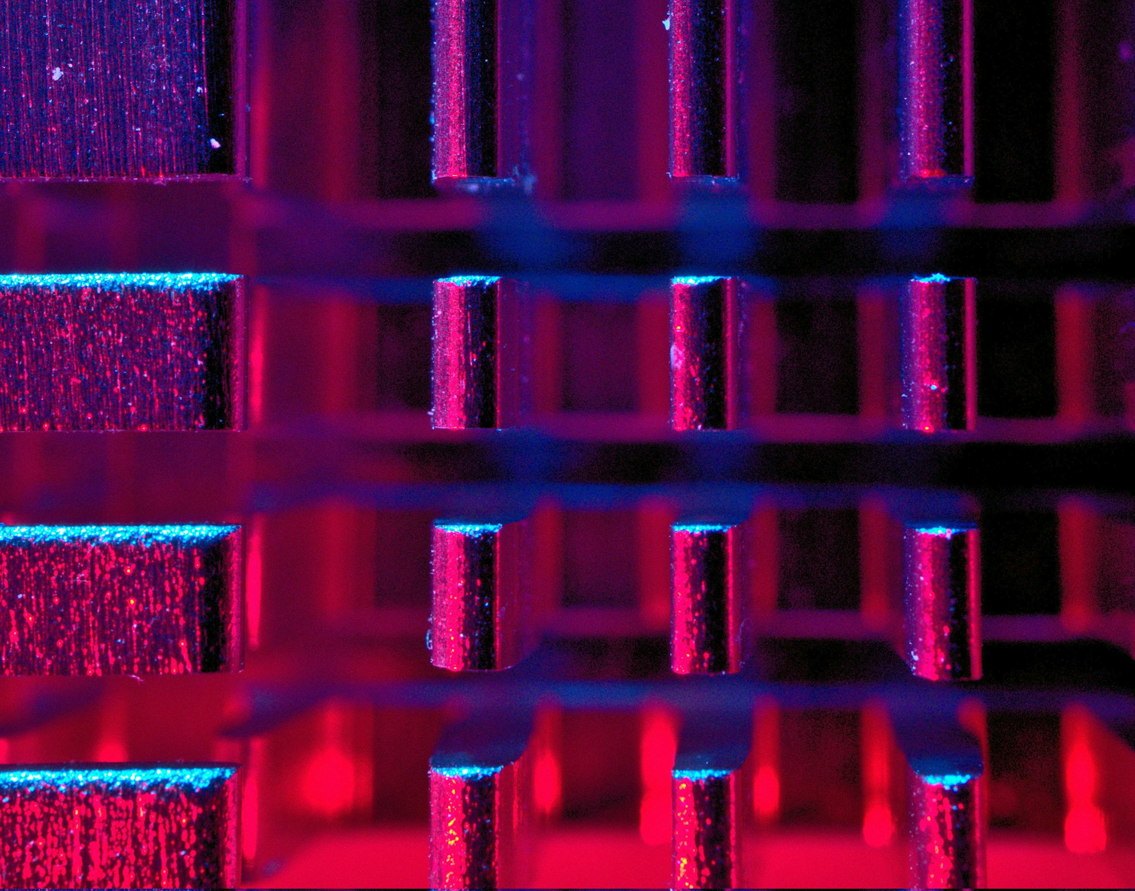 featured image - Our Investigation into Wisconsin’s Racially Inequitable Dropout Algorithm: What We Found Out