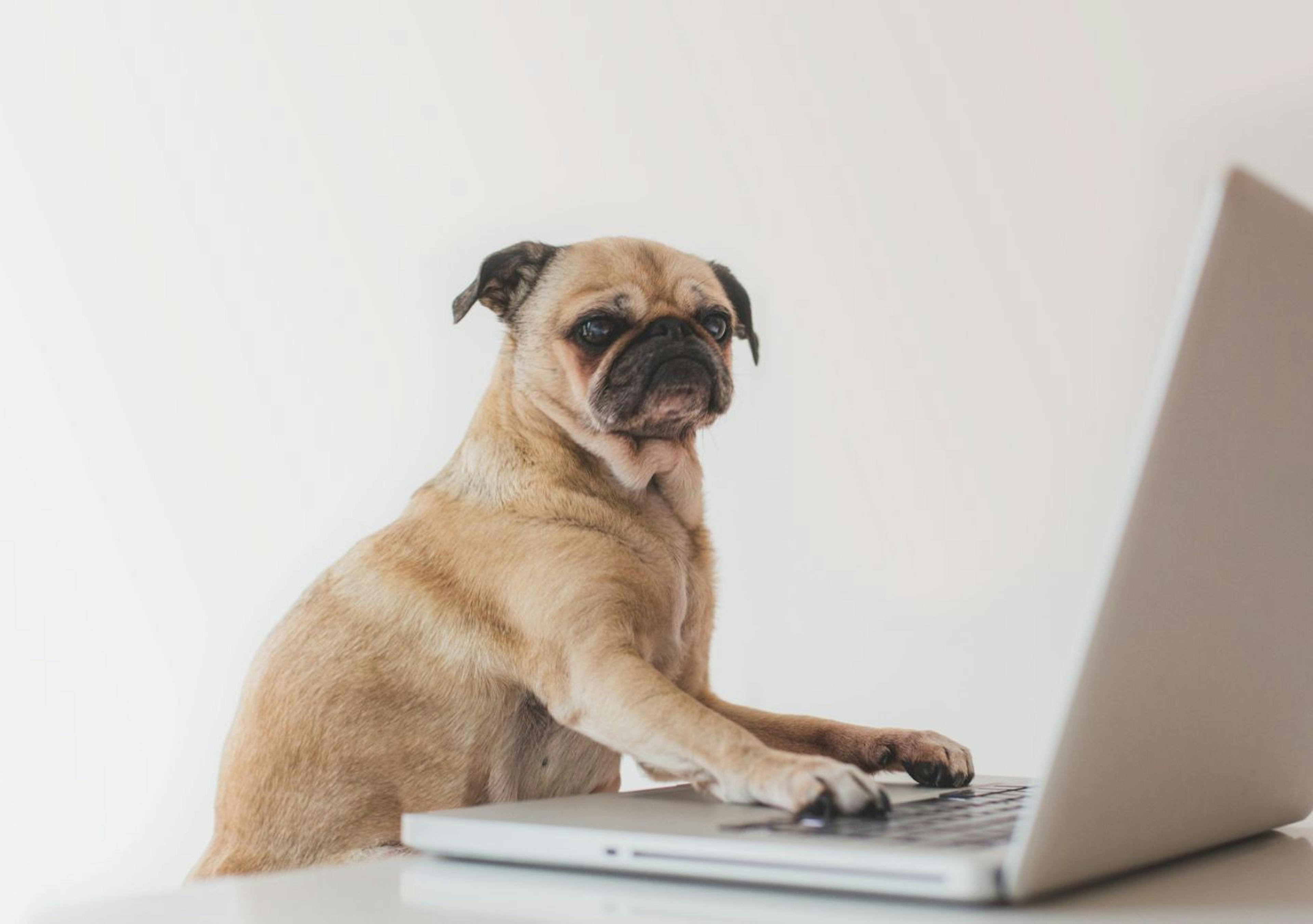 featured image - Asyncio: How to Say Goodbye Without Losing Your Data