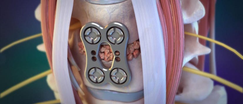 /biomechanics-for-dummies feature image