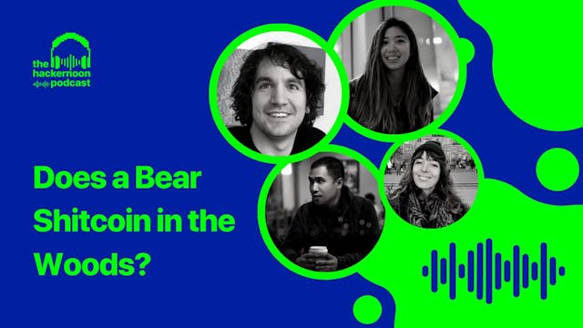 /does-a-bear-shitcoin-in-the-woods-fdnp33dk feature image