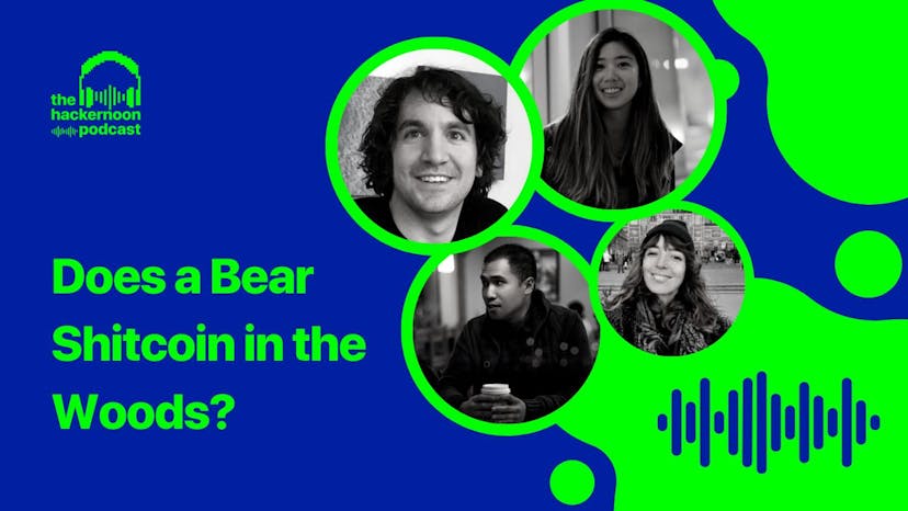 /does-a-bear-shitcoin-in-the-woods-fdnp33dk feature image