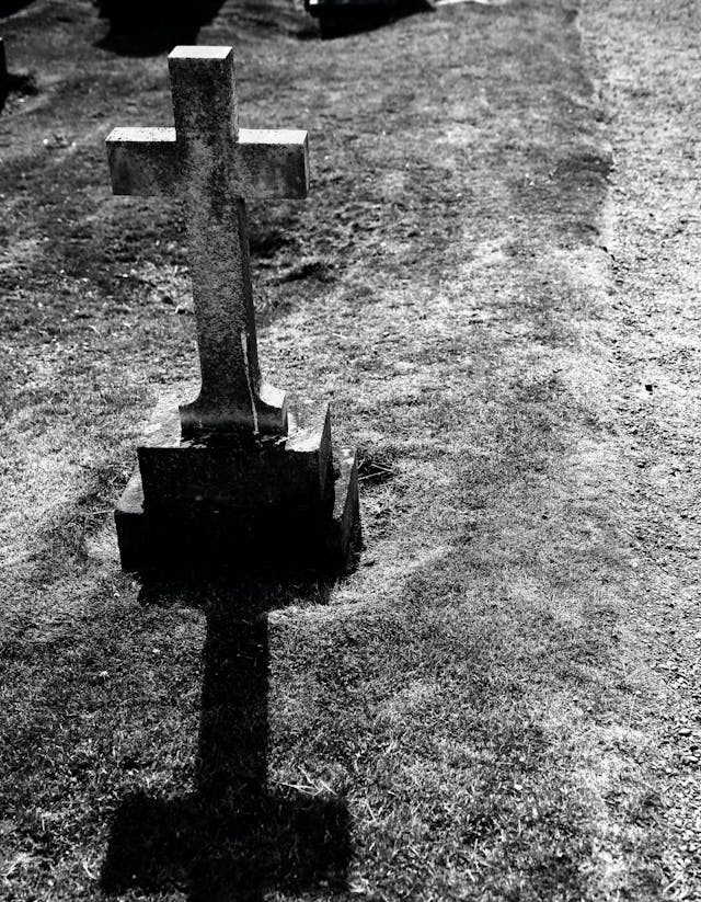 /finding-meaning-in-loss-a-journey-of-grief-reflection-and-embracing-lifes-fragility feature image