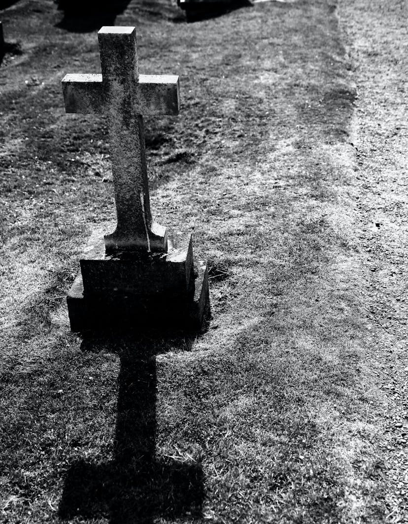 /finding-meaning-in-loss-a-journey-of-grief-reflection-and-embracing-lifes-fragility feature image