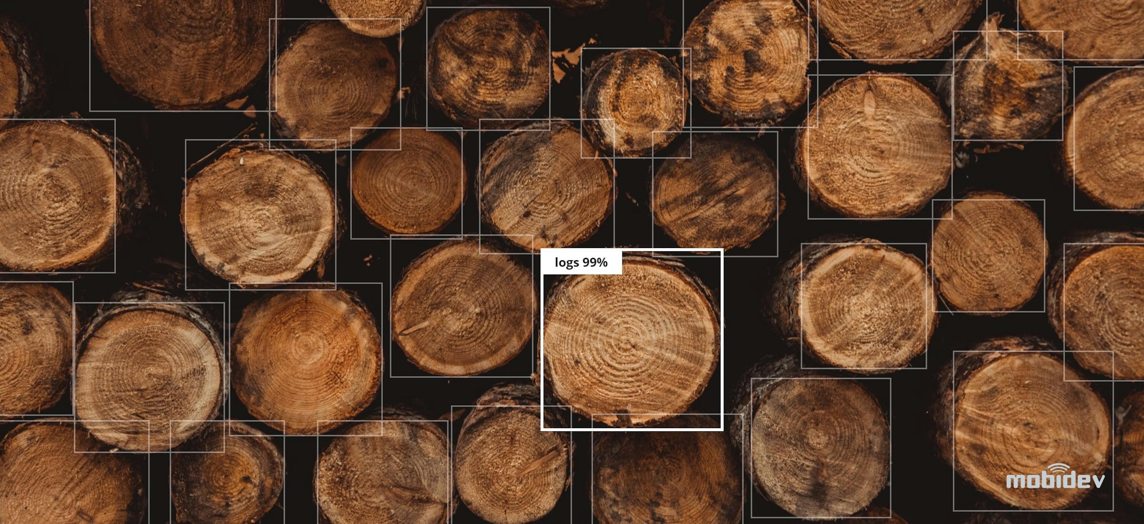 featured image - How Much Data is Enough for Small Dataset-Based Object Detection?