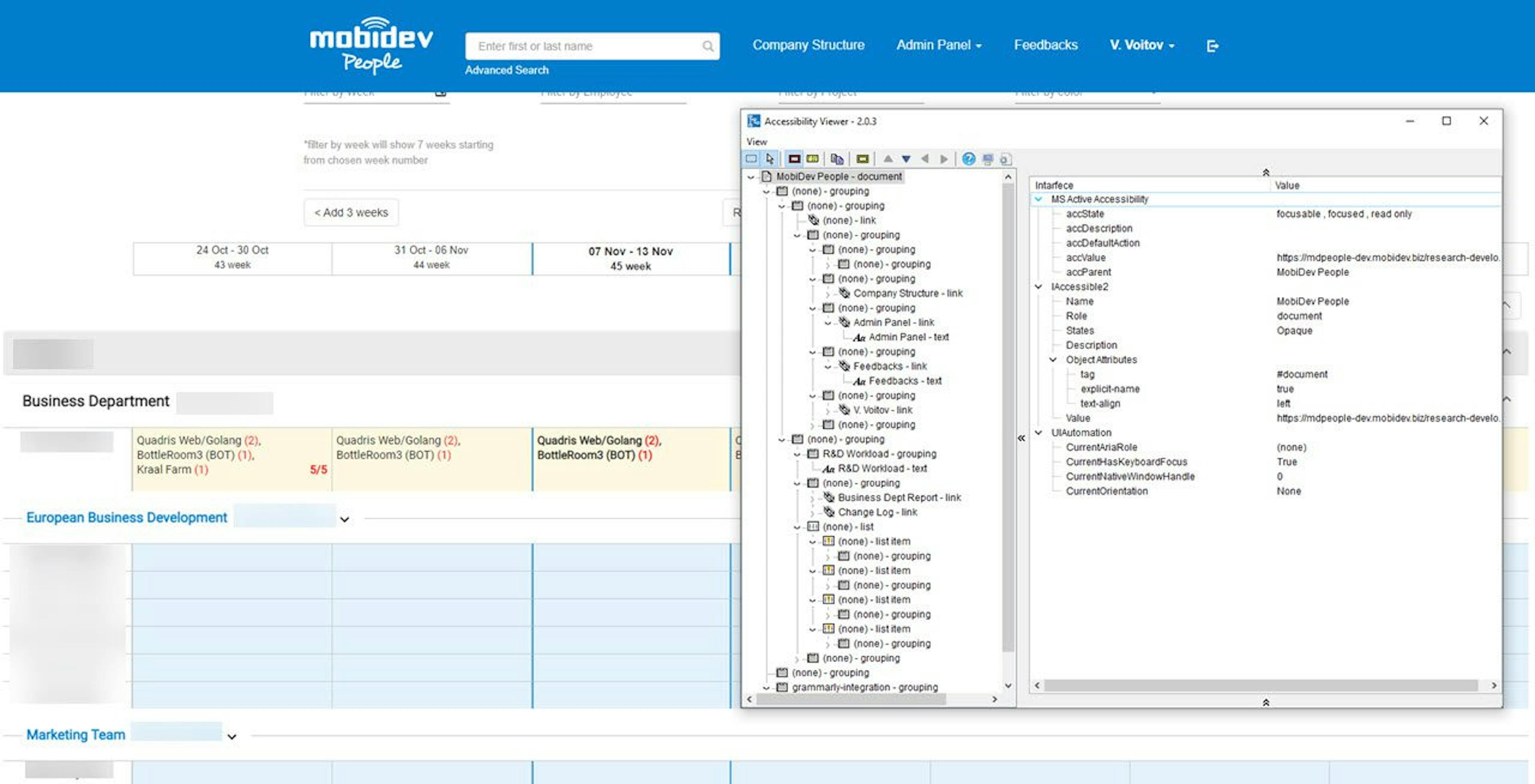 Testing Web Accessibility With Accessibility Viewer (aViewer) Tool