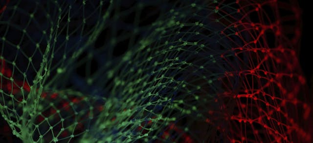 /an-essential-guide-to-gan-image-generation-with-stylegan2-042i3771 feature image