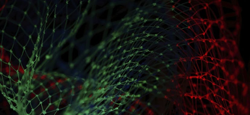 /an-essential-guide-to-gan-image-generation-with-stylegan2-042i3771 feature image