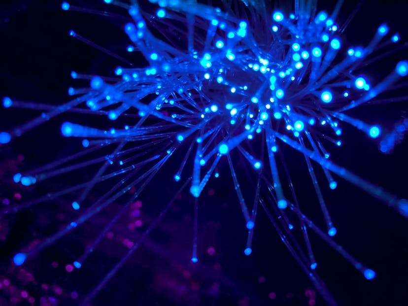 /why-digital-marketers-prefer-netnut-residential-proxies-over-standard-or-datacenter-alternatives feature image