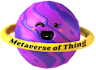 Metaverse of Things