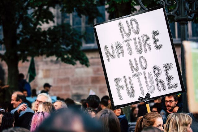 /creating-a-climate-change-meme-generator feature image