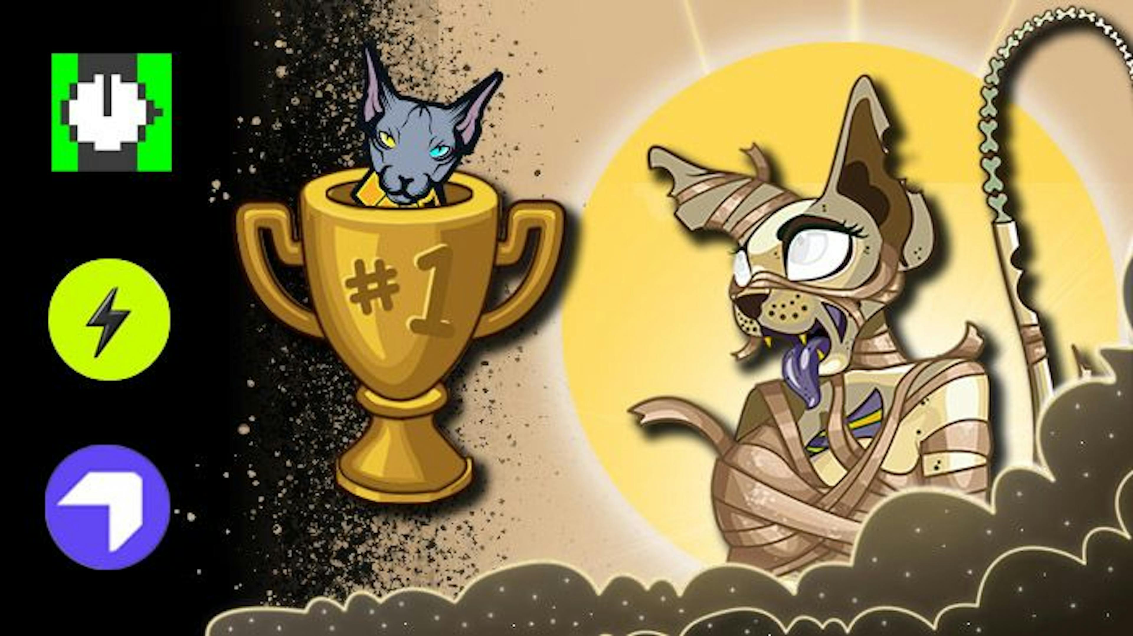 I Named My Company After My Cats - Interview with Madalin, CEO at Sphynx Network