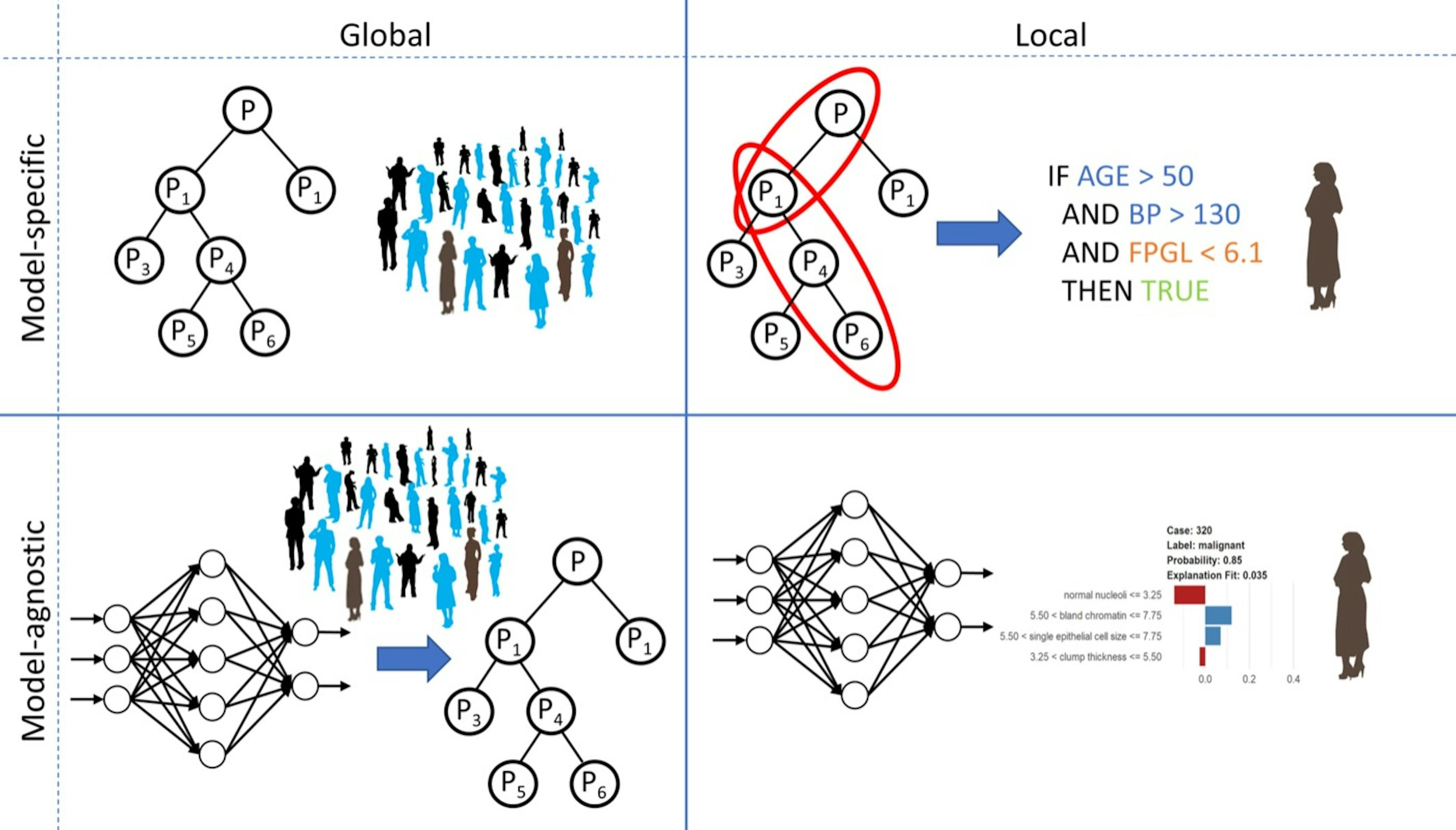 How various machine learning models make predictions. Source: WIREs