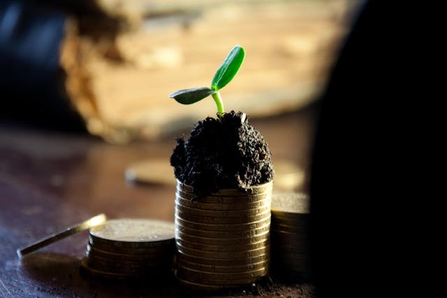 /why-gold-backed-tokens-grow-during-bear-run feature image