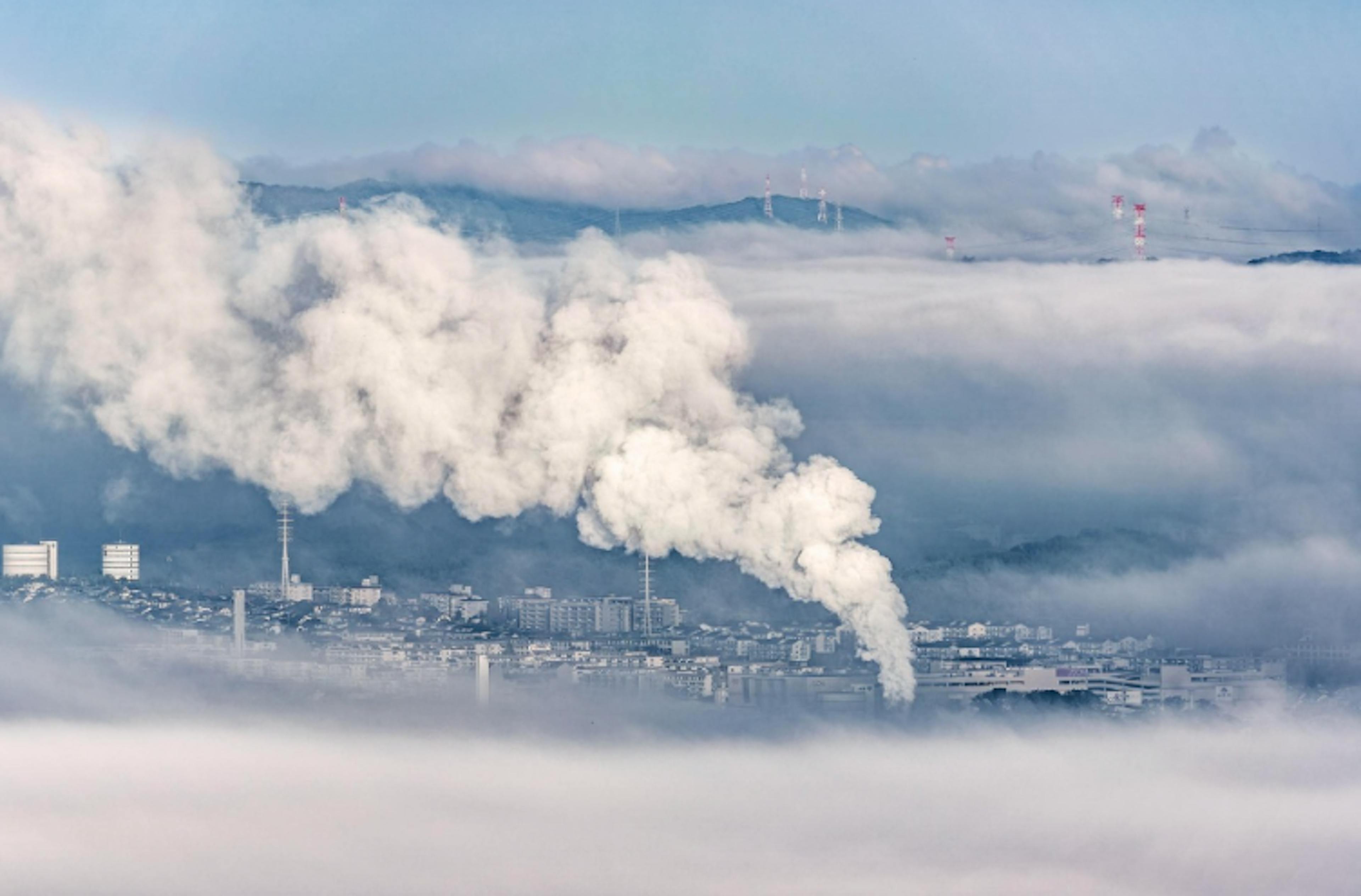 /how-carbon-assessments-benefit-businesses feature image