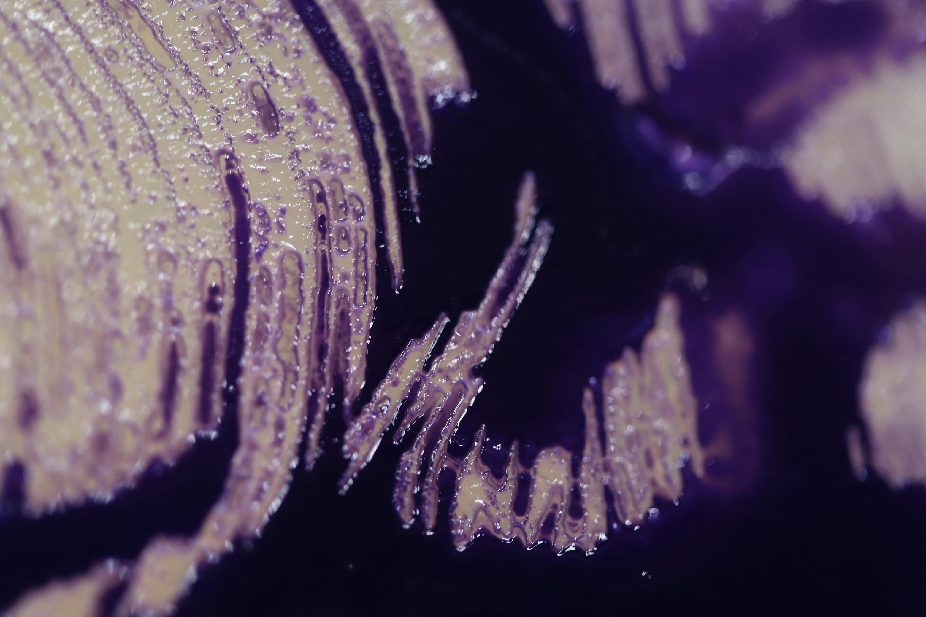 /how-lite-1-is-redefining-sustainability-interview-with-startups-of-the-year-2024-nominee feature image