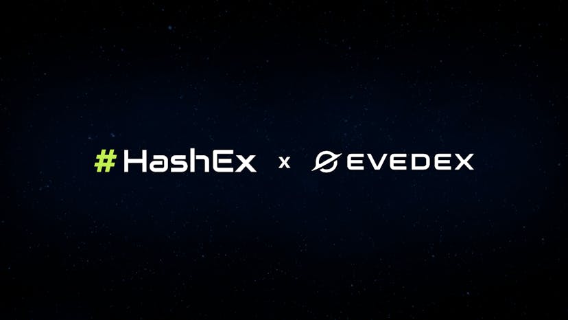 /choosing-wallets-for-decentralized-applications feature image