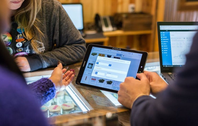 /how-is-cloud-technology-transforming-the-cannabis-industry feature image