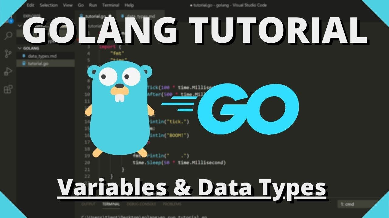 featured image - An Introductory Guide to Variables and Data Types in Go