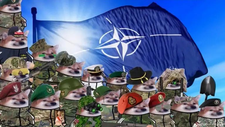 featured image - NAFO Claims Another High-Profile Victim: Fighting Back Against Disinformation