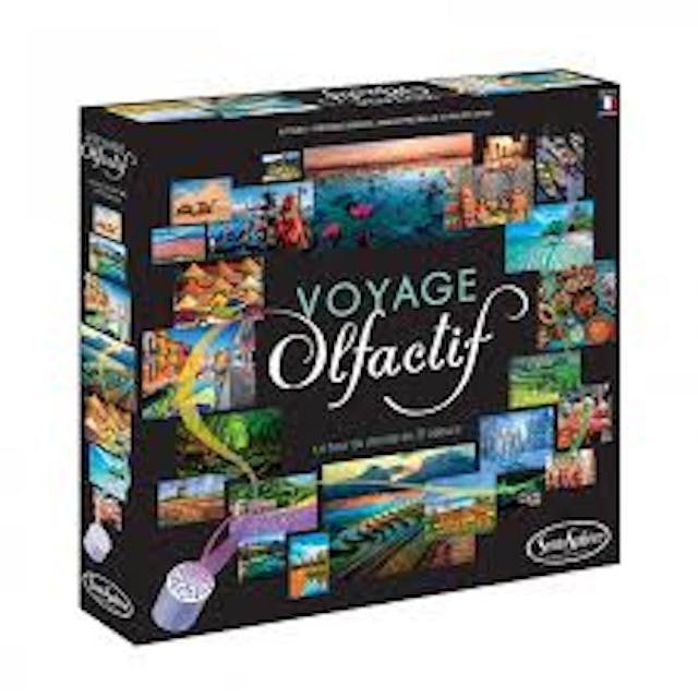 If you want a family game you can really make your own, then playing Voyage Olfactif using your family holiday snaps is definitely a way forward.