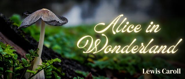 /a-mad-tea-party feature image
