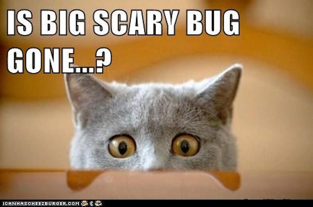 featured image - What Causes Malformed Lambda Proxy Response and How to Fix it