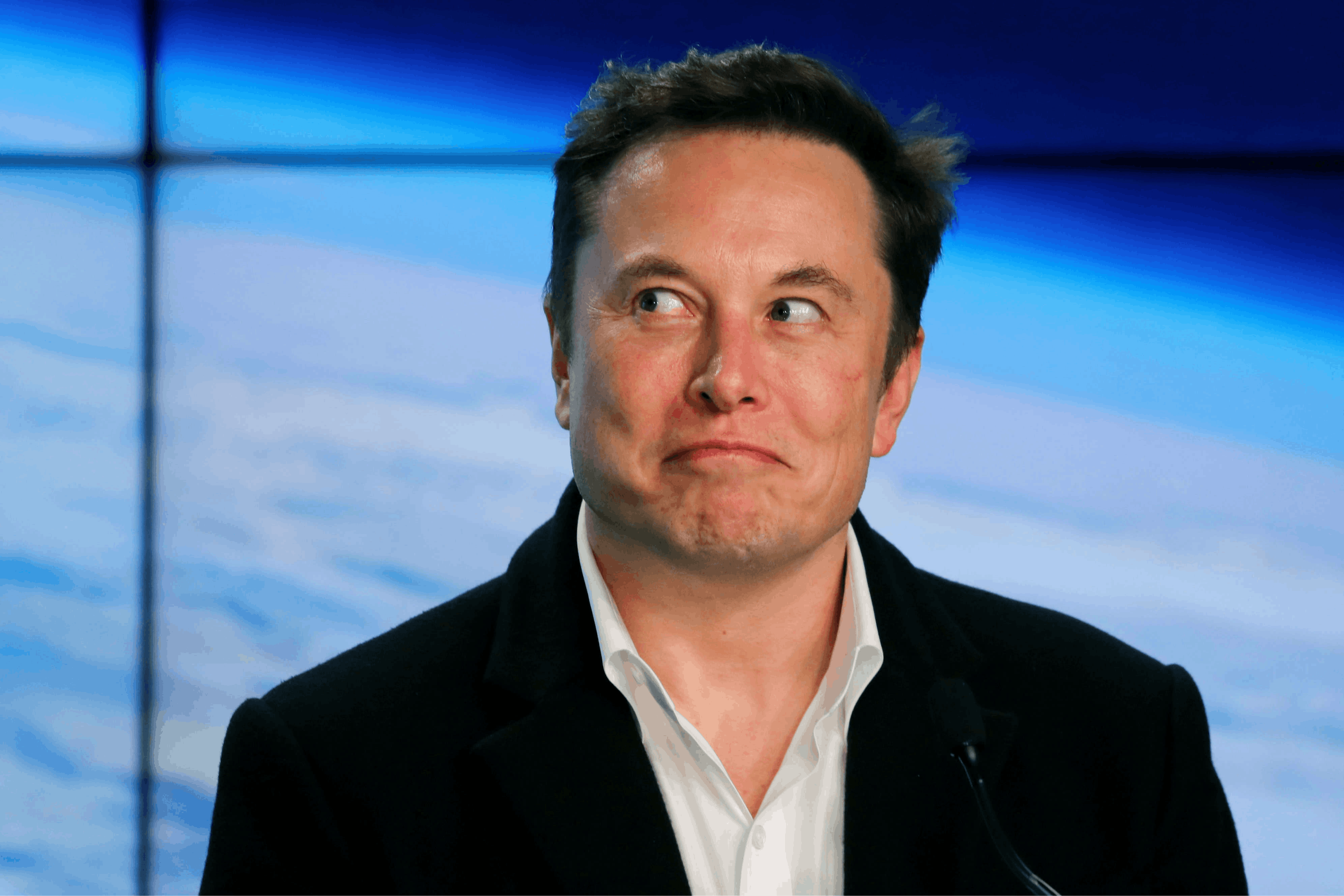 featured image - The Musk Effect: Is Elon's Interest in Crypto Having a Negative Effect On The Industry?