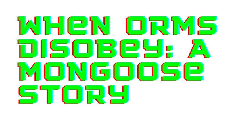 /when-orms-disobey-a-mongoose-story-q11e33k2 feature image